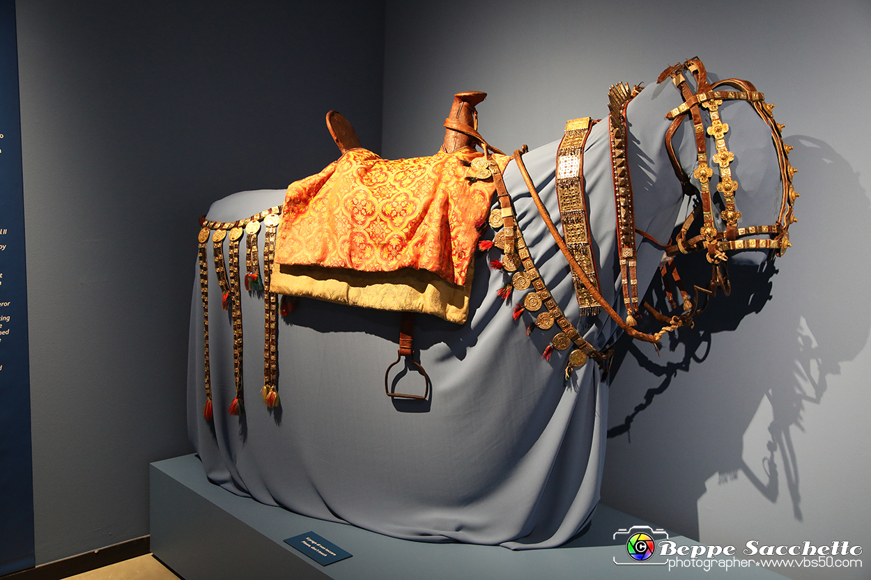 VBS_5596 - Africa - Le collezioni dimenticate.jpg